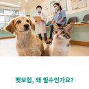 이펫 | 펫보험은 어디서 비교해서 가입하나요?