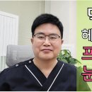 인택트 | 닥터공헤어라인의 "프리미엄 눈썹이식"