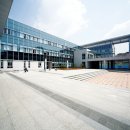 수지침(야간) 이미지