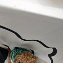 멍동댕유치원 이미지