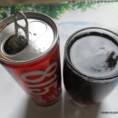 종실농장 티스토리
