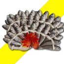 이조미가 이미지