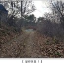 무릉도원면-25 이미지