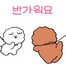 카페 더쿠 이미지
