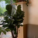 사운즈커피미니 수성구청점 이미지