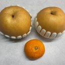 금호농산 이미지