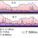 누가 돼지를 미련퉁이라 했던가? 이미지