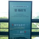 멍 때리는 전망대 이미지