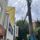청와대회집앤평양회냉면 | [부산여행 식당기록] 2일차_ 담미옥/ 깡통 사거리 분식/ 빨간 등대