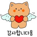 헬프푸드앤티 네이버블로그