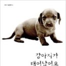 깜냥 - 포항시 북구 삼호로 452 | 깜냥