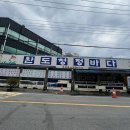 단골 광주역맛집 가을 전어회 광주 횟집 완도청정바다