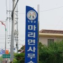마리장풍숲 이미지