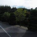 시문리 Daum카페