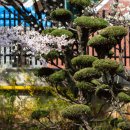 광덕고 학교안 이미지