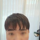 심플리안