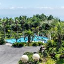 제주아이브리조트 이미지