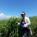 하모3리 이미지