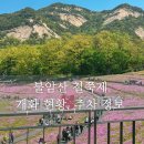 동산제일아파트 | 2025 불암산 철쭉제 후기 주차 가는길 개화현황 서울 아이랑 주말 나들이 추천