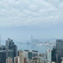 HK미트 | [홍콩] 엄마와 설날 3박 4일 홍콩 여행 02. 홍콩의 춘절