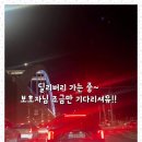 멍멍이와 야옹이 분양 미용 | 구미강아지무료분양 테디럽에서 만나는 안심분양