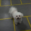 대성권투체육관 이미지