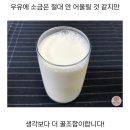 여름철 우유 보관법 이미지