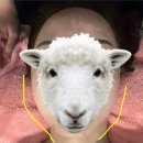 영동토탈인테리어 | 충북 영동피부관리 | 탐미 AI정밀분석! 덕분에 얼태기 극복..🤍