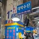 완도수산 | 강서수산시장 해산물 맛집 총정리 | 완도횟집 대광어·대박수산 대게·신갯마을 상차림 솔직후기