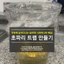 초파리 없애는법 초파리 퇴치 초파리 트랩 초파리가 생기는 이유 이미지