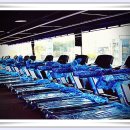 내몸에 라인을 더하다 이미지