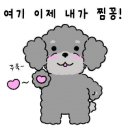 댕냥잇츠 이미지