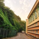 남부민초등학교 이미지