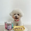 (주)제주덴탈 | 노령견 강아지 유산균 간식으로 음수량 늘리기 '빌리스벳 포스티 크런치 포크, 치킨, 가리비'