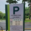 중앙로 메타세콰이아길 이미지