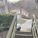 개나리낚시공원 이미지