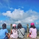 951 | 제주도 온지 두달째.. 한라산 드디어 오르다. <영실코스, 윗세오름>