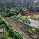 탑제주영어도시공인중개사사무소 | 제주 오라 이동 위더스빌 (27차) 복층 있는 전세 매물🏡