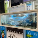 향어나라 - 김해시 계동로137번길 20 | 향어나라