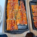 신흥아그로 이미지