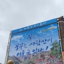 대둔산민물새우탕 | ROTC 중앙산악회 가족동반 대둔산 구름다리 도전기: 6살아이와 함께 산후 5개월만의 특별한 도전