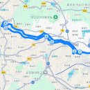 은행나무길(경제진흥원앞) | 주말 자전거 라이딩하기 좋은 아산 곡교천 뚝방길