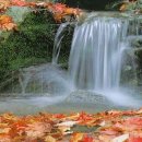 봄여름가을겨울 이미지