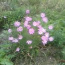 영산대학교 이미지