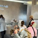 루센트 | [삿포로] 기념품 바오바오 루센트 구매후기 (내돈내산)