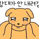 신항동물병원 이미지