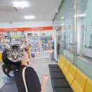 비손치과의원 이미지