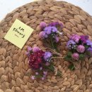 화요꽃집 - 용인시 기흥구 동백중앙로 225-6 | 화요꽃집