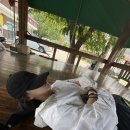 더불어사는 자연 2 이미지