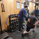 이엘 PT 이미지